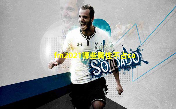 fm2021哪些属性不占ca