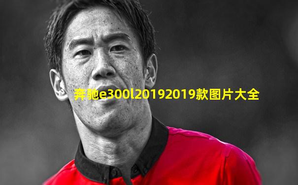 奔驰e300l20192019款图片大全