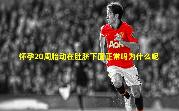 怀孕20周胎动在肚脐下面正常吗为什么呢