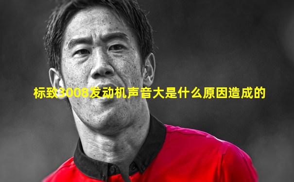 标致3008发动机声音大是什么原因造成的