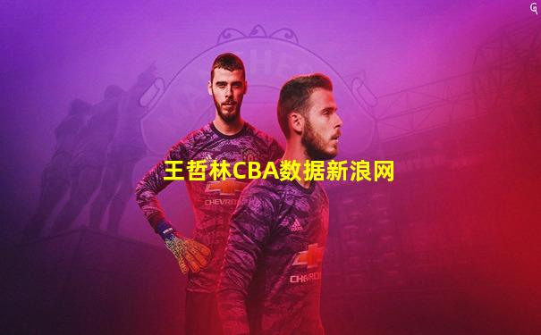王哲林CBA数据新浪网