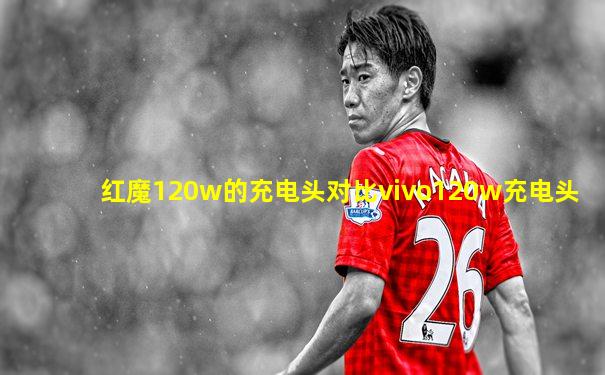 红魔120w的充电头对比vivo120w充电头