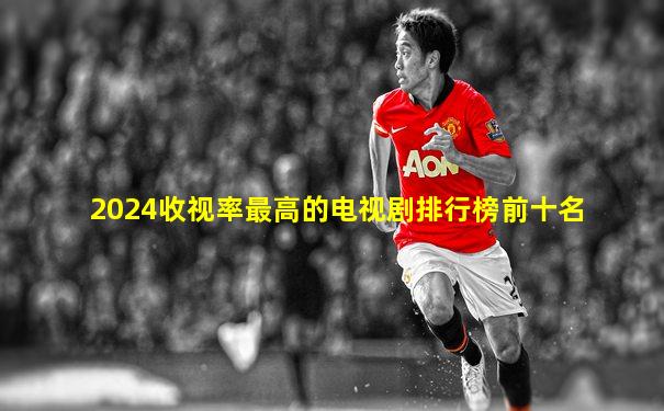 2024收视率最高的电视剧排行榜前十名