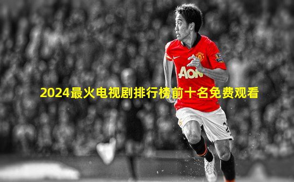 2024最火电视剧排行榜前十名免费观看