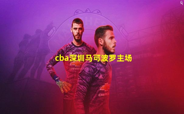 cba深圳马可波罗主场