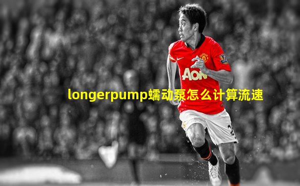 longerpump蠕动泵怎么计算流速
