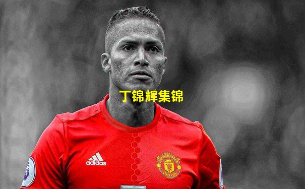 丁锦辉集锦