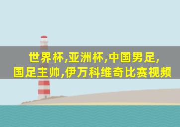 世界杯,亚洲杯,中国男足,国足主帅,伊万科维奇比赛视频