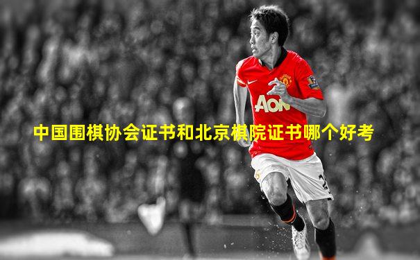 中国围棋协会证书和北京棋院证书哪个好考