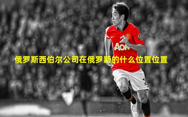 俄罗斯西伯尔公司在俄罗斯的什么位置位置
