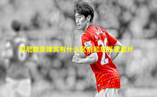 印尼跟菲律宾有什么区别和联系呢图片