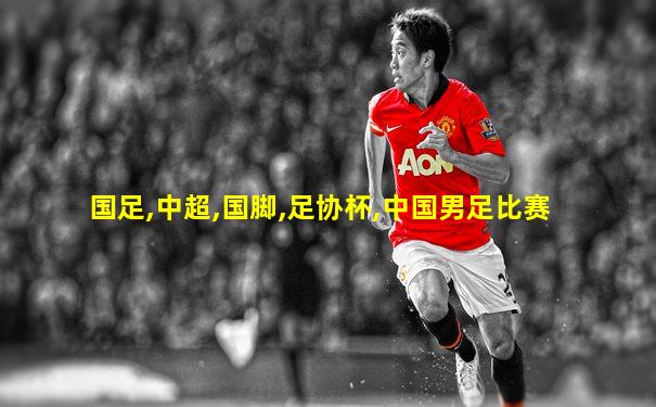 国足,中超,国脚,足协杯,中国男足比赛