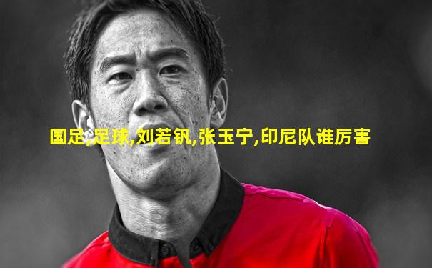 国足,足球,刘若钒,张玉宁,印尼队谁厉害