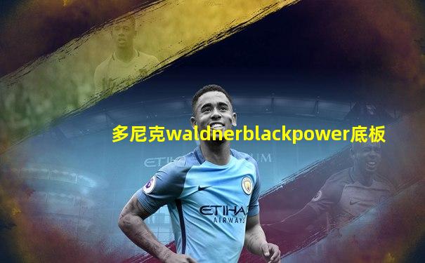 多尼克waldnerblackpower底板