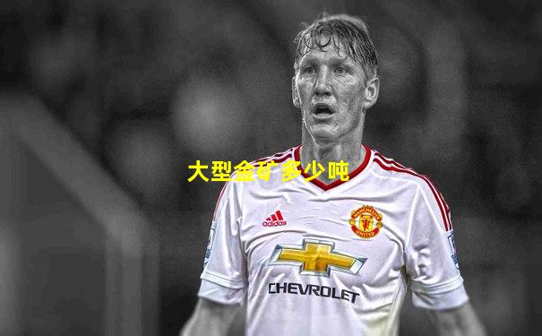 大型金矿多少吨