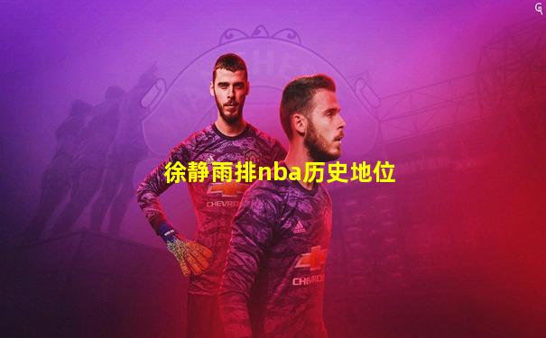 徐静雨排nba历史地位