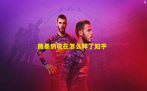 施泰纳现在怎么样了知乎