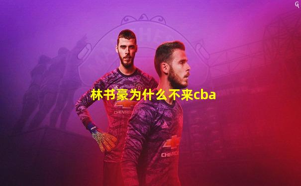 林书豪为什么不来cba