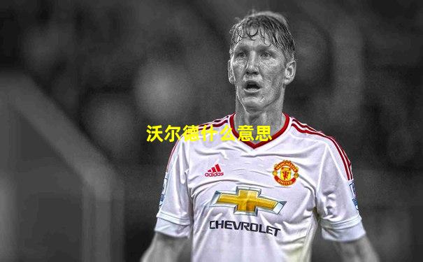 沃尔德什么意思