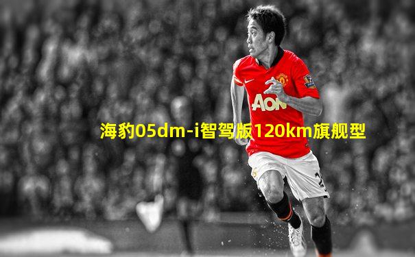 海豹05dm-i智驾版120km旗舰型