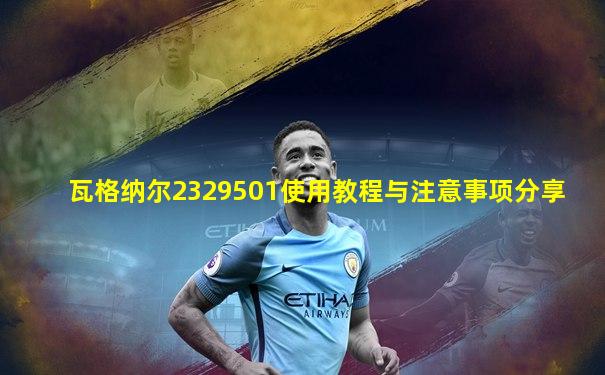 瓦格纳尔2329501使用教程与注意事项分享