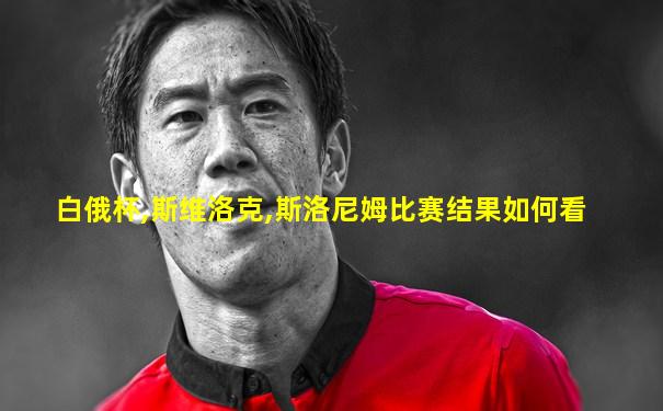 白俄杯,斯维洛克,斯洛尼姆比赛结果如何看
