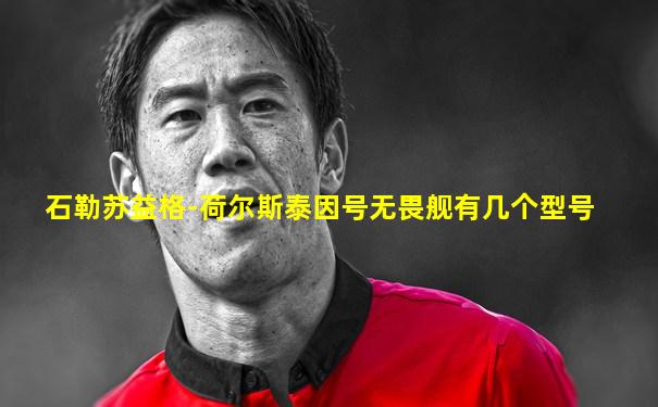石勒苏益格-荷尔斯泰因号无畏舰有几个型号