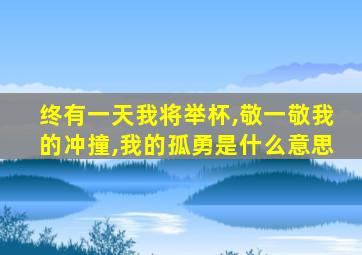 终有一天我将举杯,敬一敬我的冲撞,我的孤勇是什么意思