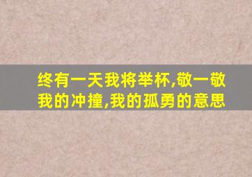 终有一天我将举杯,敬一敬我的冲撞,我的孤勇的意思