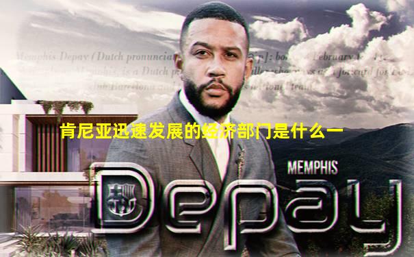 肯尼亚迅速发展的经济部门是什么一