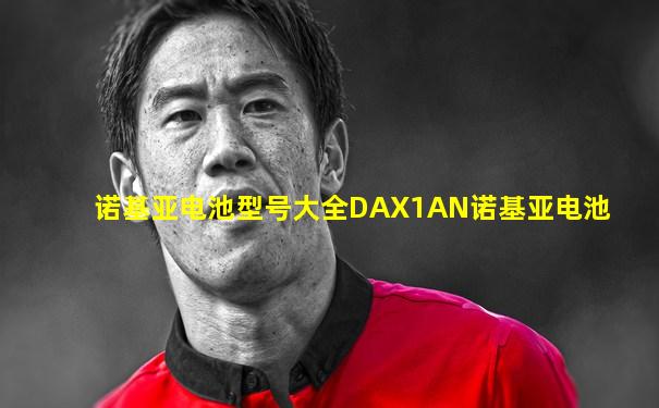 诺基亚电池型号大全DAX1AN诺基亚电池