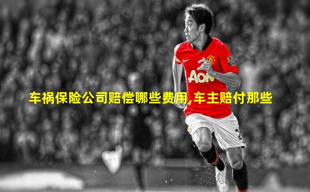 车祸保险公司赔偿哪些费用,车主赔付那些